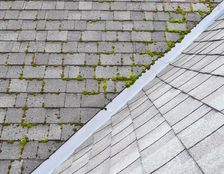 Slate Roofs by Validus Roofing