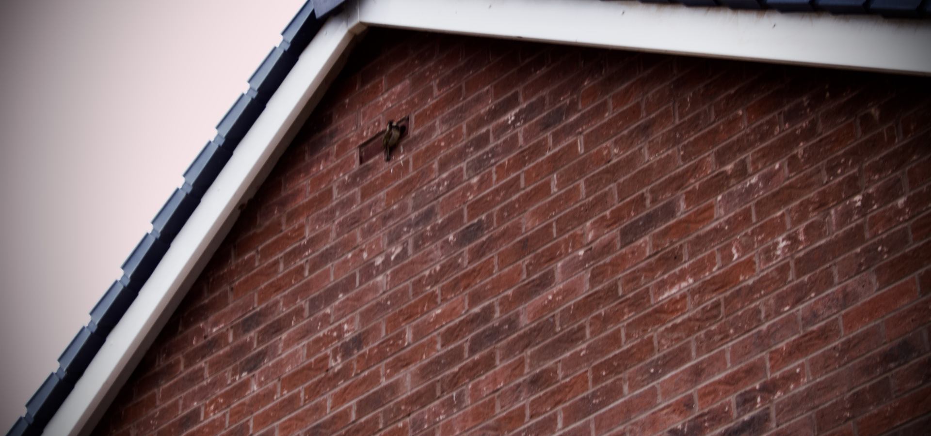 Dry Fix Systems by Validus Roofing in Northampton