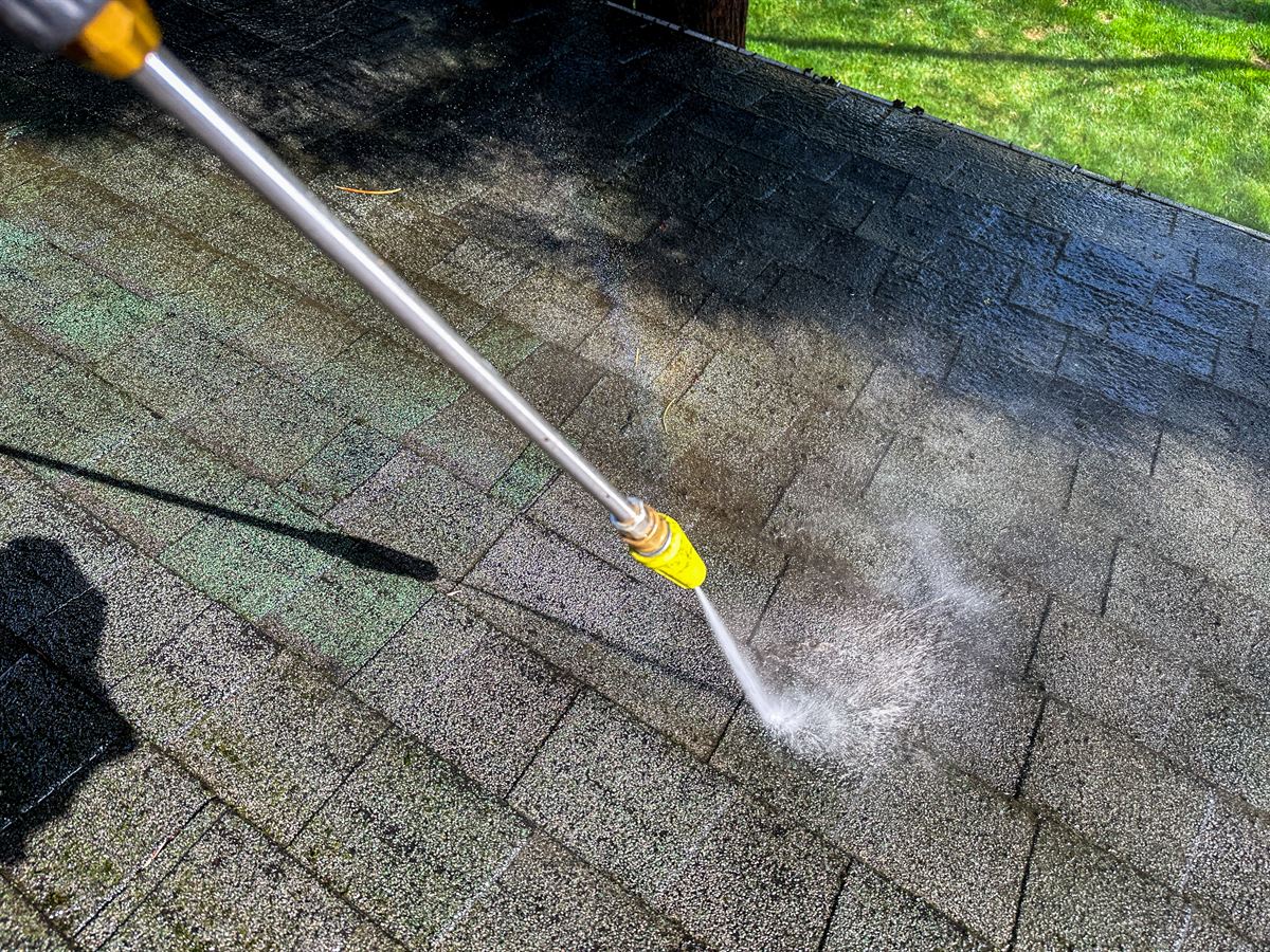 Moss Removal project